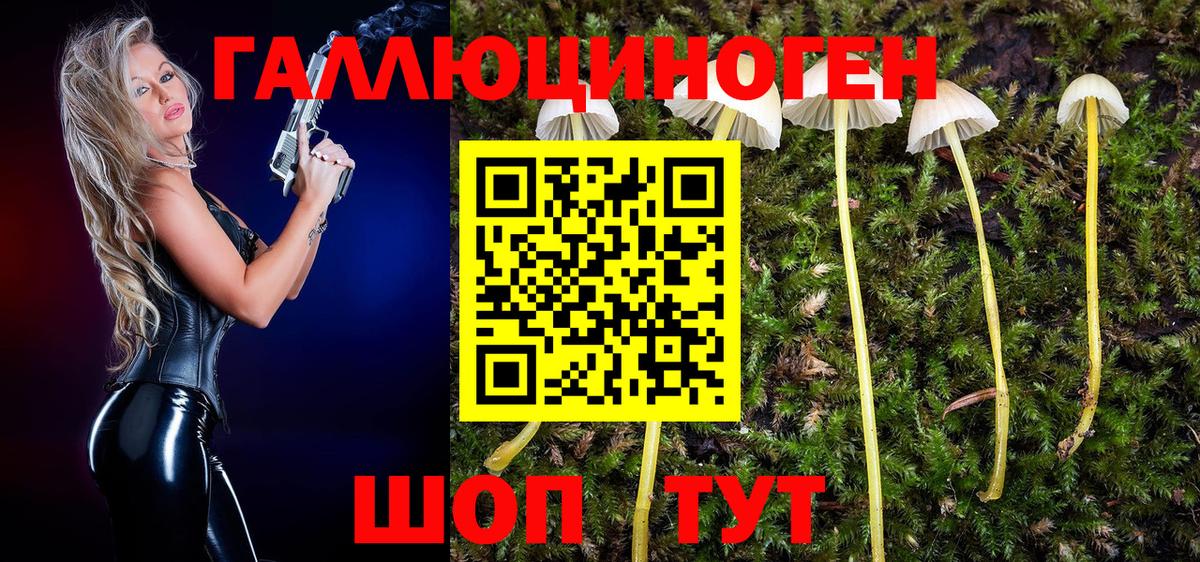 Псилоцибиновые грибы мицелий  Галлюциногенные грибы Magic Shrooms  Шарыпово  Вход с VPN 